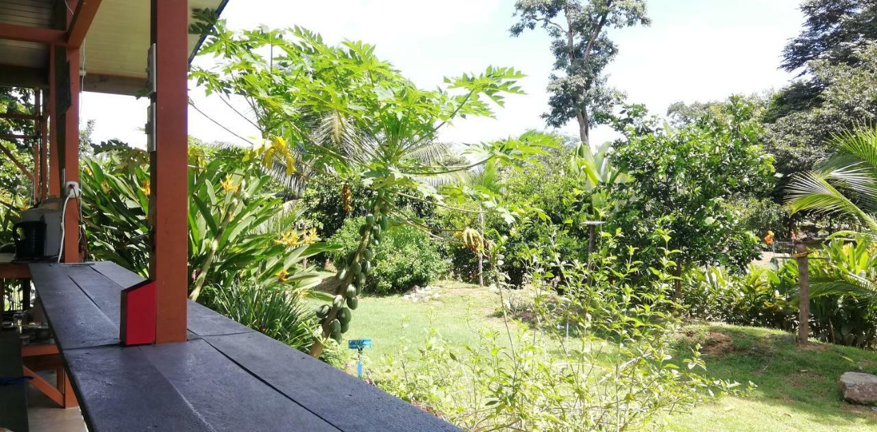 Karandi Hostel Uvita Exterior photo
